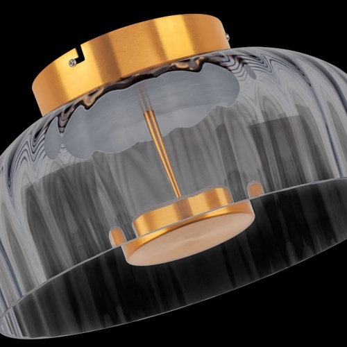 Накладной светильник Lightstar Celesta 809061 фото 8 Накладной светильник Lightstar Celesta 809061 фото 8