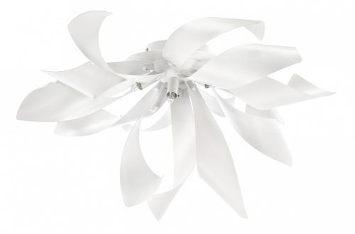 Накладной светильник Lightstar Turbio 754166 Накладной светильник Lightstar Turbio 754166