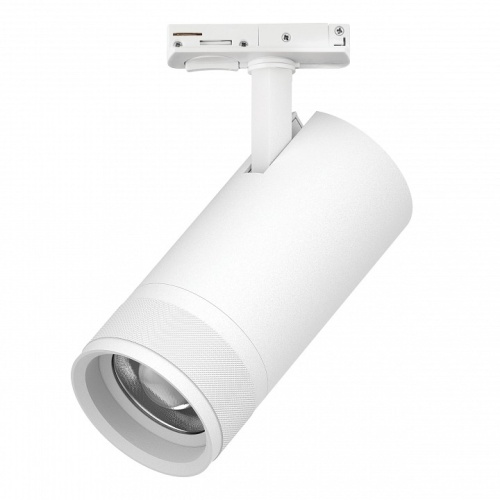 Светильник на штанге Lightstar Canno Pro C4306SS фото 2
