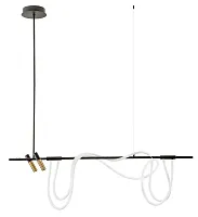 Подвесной светильник Arte Lamp KLIMT A2850SP-45BK