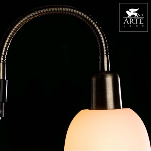 Торшер Arte Lamp DUETTO A9569PN-2AB фото 4 Торшер Arte Lamp DUETTO A9569PN-2AB фото 4