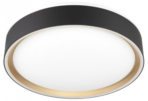Накладной светильник Citilux BOSS CL751251G Накладной светильник Citilux BOSS CL751251G