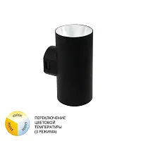 Фасадный светильник Arte Lamp ALCYONE A6109AL-2BK