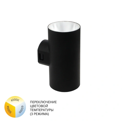Фасадный светильник Arte Lamp ALCYONE A6109AL-2BK Фасадный светильник Arte Lamp ALCYONE A6109AL-2BK