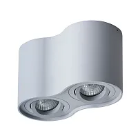 Точечный накладной светильник Arte Lamp FALCON A5645PL-2GY