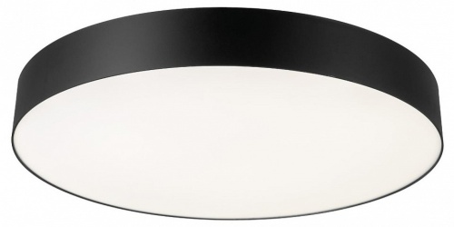 Накладной светильник Citilux BART CL755491