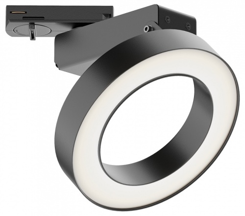 Светильник на штанге Maytoni Technical Rim TR044-1-12W3K-B фото 2