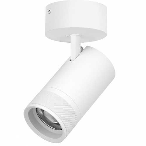 Спот Lightstar Canno Pro C4406SO фото 2