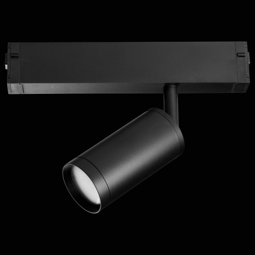 Светильник на штанге Lightstar Teta 205027R фото 3