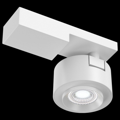 Светильник на штанге Maytoni Technical Treo C062CL-L12W4K фото 4 Светильник на штанге Maytoni Technical Treo C062CL-L12W4K фото 4