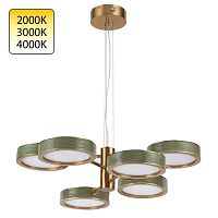 ODEON LIGHT EXCLUSIVE 5450/99LA L-VISION ODL_EX26 019 зеленый/античная бронза/металл/керамика/акрил Люстра LED 99W 2000К/3000K/4000K RIVIERA