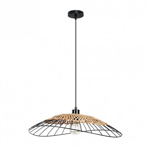 Подвесной светильник Arte Lamp WOODSTOCK A7061SP-1BK фото 2