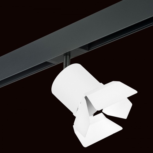 Светильник на штанге Lightstar Rullo PRO3486486 фото 2
