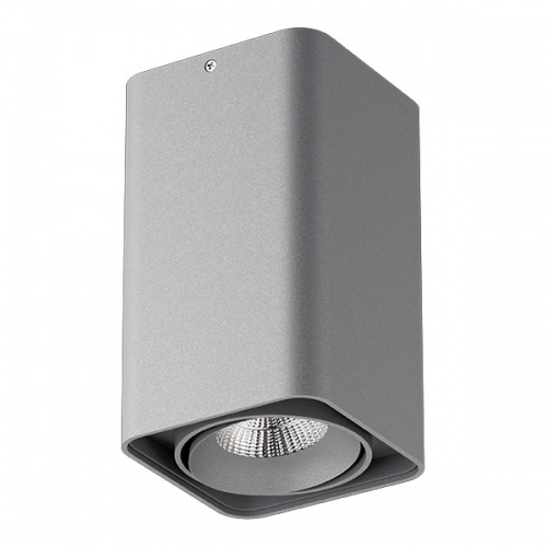 Накладной светильник Lightstar Monocco 052139 Накладной светильник Lightstar Monocco 052139