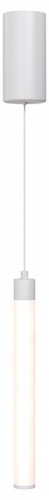 Подвесной светильник Maytoni Technical Ray P022PL-L10W фото 3