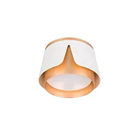 Потолочный светильник Arte Lamp AMAKS A8028PL-1WH