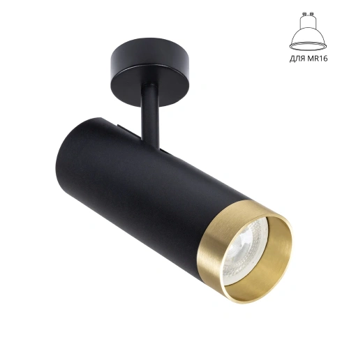 Спот Arte Lamp TOPIC A2357PL-1BK Спот Arte Lamp TOPIC A2357PL-1BK