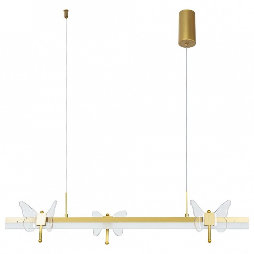 Подвесной светильник Arte Lamp Darcy A2187SP-1GO фото 2