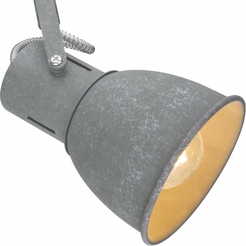 Спот Arte Lamp Jovi A1677PL-2GY фото 2