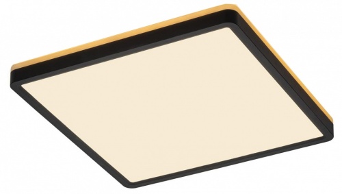 Накладной светильник Citilux Norma CL748K301 Накладной светильник Citilux Norma CL748K301