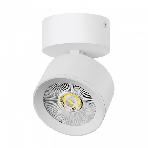 Спот Lightstar Alta Pro A5546SO фото 2