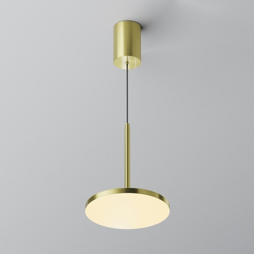 Подвесной светильник Maytoni Technical Plato P076PL-L12W3K-BS фото 3 Подвесной светильник Maytoni Technical Plato P076PL-L12W3K-BS фото 3
