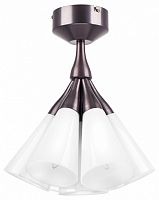 Люстра на штанге Lightstar Cone 757070