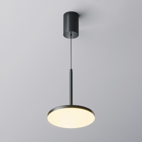 Подвесной светильник Maytoni Technical Plato P076PL-L12W3K-B фото 3