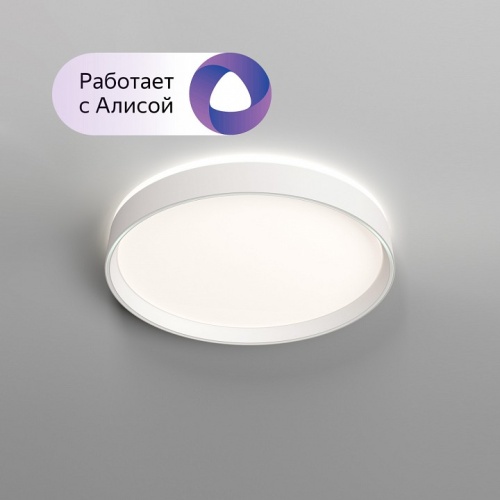 Накладной светильник Denkirs PLATO DK6510-WH фото 4 Накладной светильник Denkirs PLATO DK6510-WH фото 4