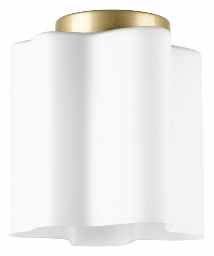 Накладной светильник Lightstar Nubi 802013 Накладной светильник Lightstar Nubi 802013
