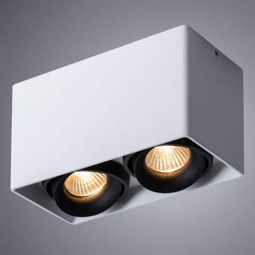 Точечный накладной светильник Arte Lamp PICTOR A5654PL-2WH фото 2 Точечный накладной светильник Arte Lamp PICTOR A5654PL-2WH фото 2