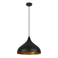Подвесной светильник Arte Lamp CARMEL A7076SP-1BK