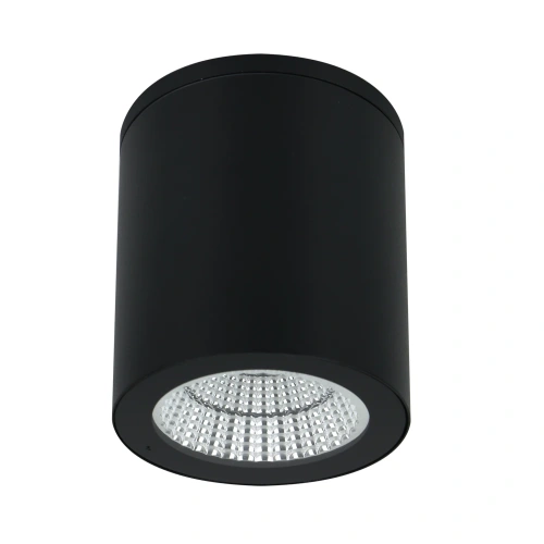 Уличный потолочный светильник Arte Lamp TORCULAR A1813PF-1BK Уличный потолочный светильник Arte Lamp TORCULAR A1813PF-1BK