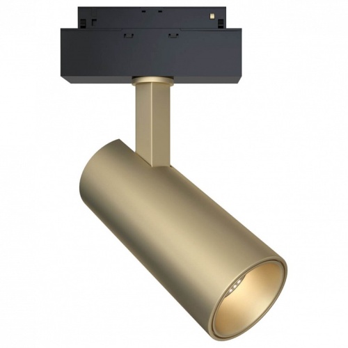 Светильник на штанге Maytoni Technical Technical Track TR019-2-15W3K-MG Светильник на штанге Maytoni Technical Technical Track TR019-2-15W3K-MG