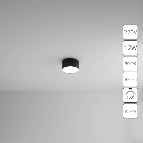Потолочный светильник Arte Lamp FADO A7312PL-1BK Потолочный светильник Arte Lamp FADO A7312PL-1BK