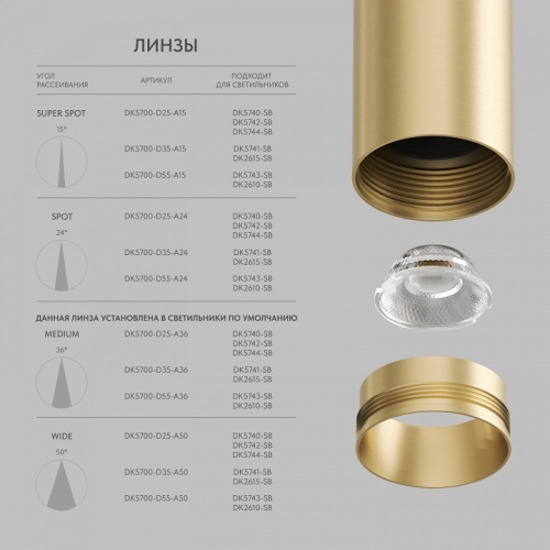 Светильник на штанге Denkirs SHINE SPOT DK5740-SB фото 5