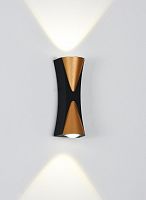 Накладной светильник Arte Lamp GUDJA A6026AP-10BK