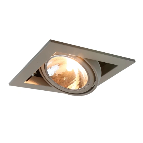 Карданный светильник Arte Lamp CARDANI SEMPLICE A5949PL-1GY Карданный светильник Arte Lamp CARDANI SEMPLICE A5949PL-1GY