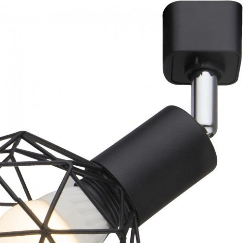 Спот Arte Lamp Sospiro A6141PL-1BK фото 3