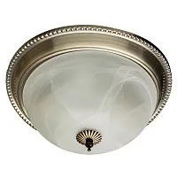 Потолочный светильник Arte Lamp PORCH A1305PL-2AB