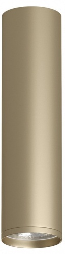 Накладной светильник Denkirs TUBE DK2052-SG Накладной светильник Denkirs TUBE DK2052-SG