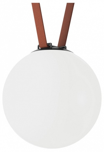 Накладной светильник Denkirs Belty Orb DK5554-BK Накладной светильник Denkirs Belty Orb DK5554-BK