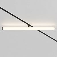 Светильник на штанге Maytoni Technical Larc TR086-2-25W4K-B
