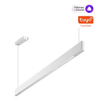 NOVOTECH 359549 LEDO NT25 342 белый Светильник подвесной диммир. со сменой цв.темпер. (пульт ДУ/прилож. Smart Life) IP20 LED 12/24W 220-240V 3000-5700К ITER