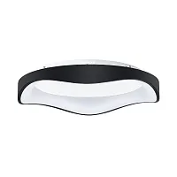 Потолочный светильник Arte Lamp ANKAA A3085PL-56BK