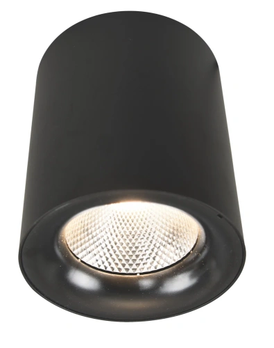 Точечный накладной светильник Arte Lamp FACILE A5118PL-1BK Точечный накладной светильник Arte Lamp FACILE A5118PL-1BK