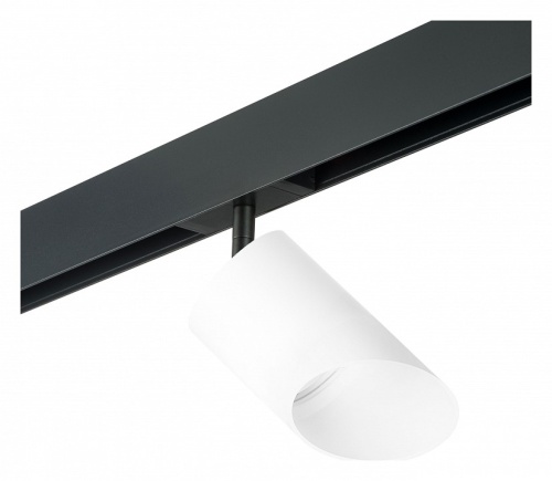 Светильник на штанге Lightstar Rullo PRO348686 Светильник на штанге Lightstar Rullo PRO348686