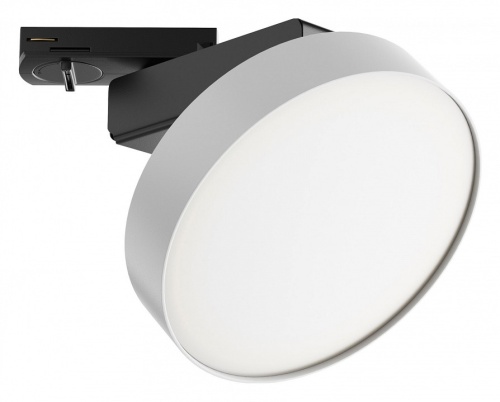 Светильник на штанге Maytoni Technical Zon TR043-1-12W4K-W