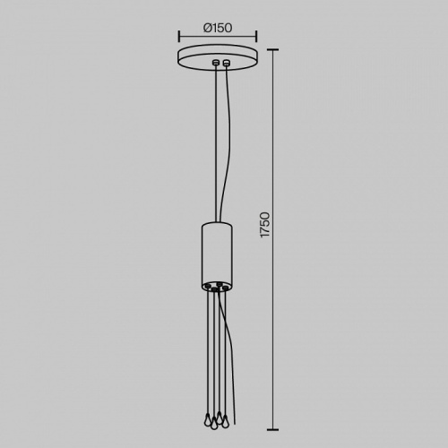 Подвес Maytoni Technical Zon C032C-04-MG-1 фото 5