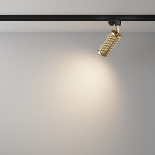 Светильник на штанге Maytoni Technical Focus Design TR011-1-GU10-G фото 6